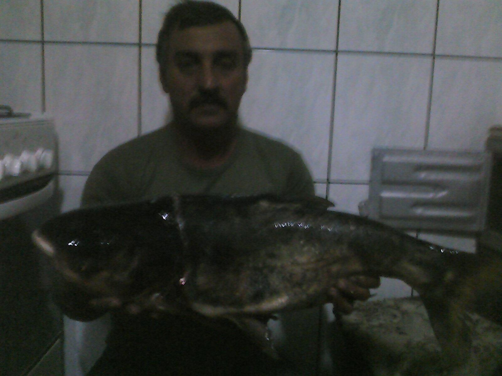 Crevedia - 131106-1936002.jpg